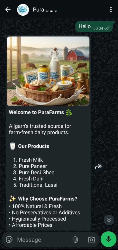 Authentic WhatsApp Bot Interface Screenshot